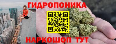 стафф Владивосток