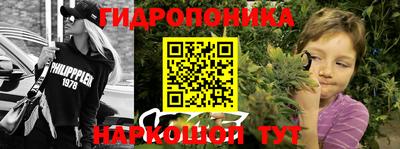 стафф Владивосток